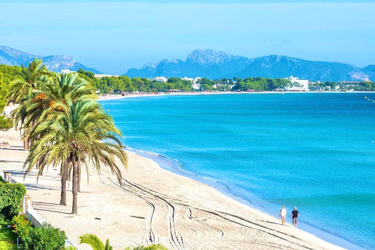 Aguilas Cerca De La Playa.